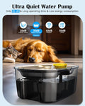 10L Stainless Steel Dog Water Fountain